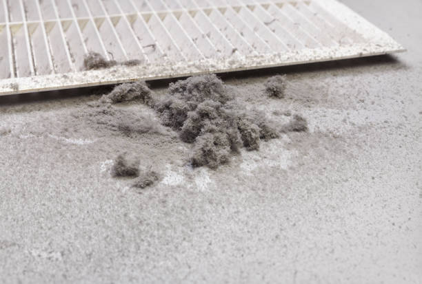 Best Air Duct Cleaning Near Me  in Forrest City, AR